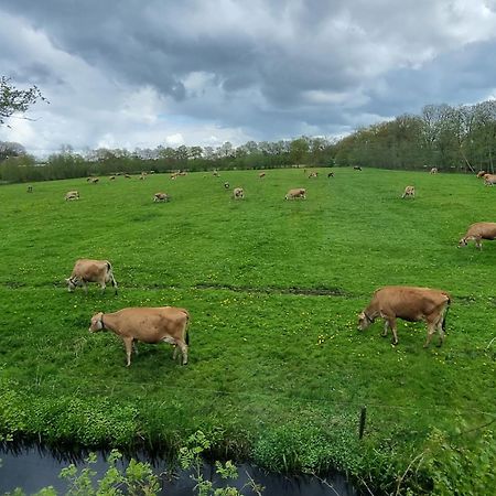 B&B In De Roos Noordbergum Bagian luar foto