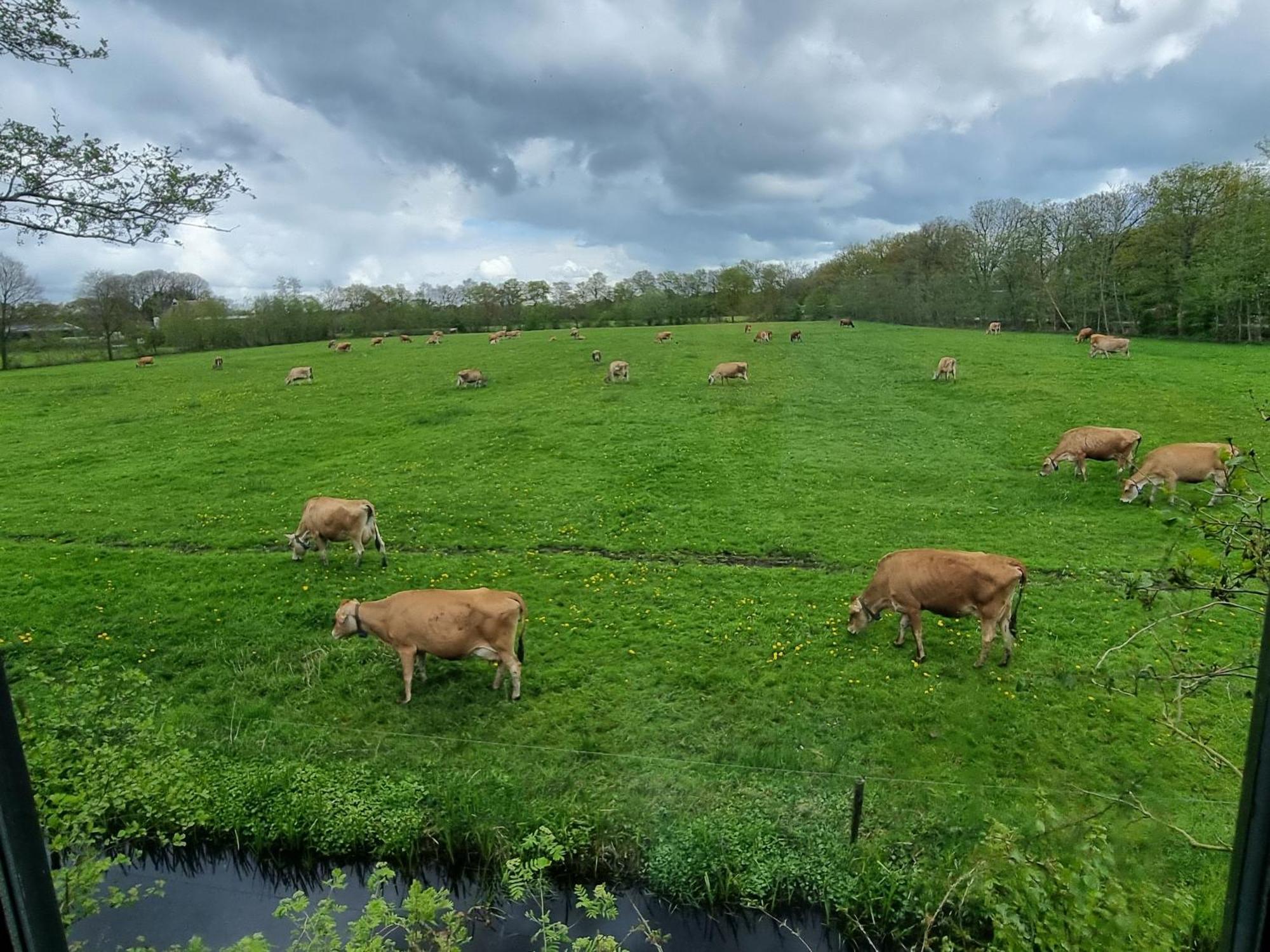 B&B In De Roos Noordbergum Bagian luar foto